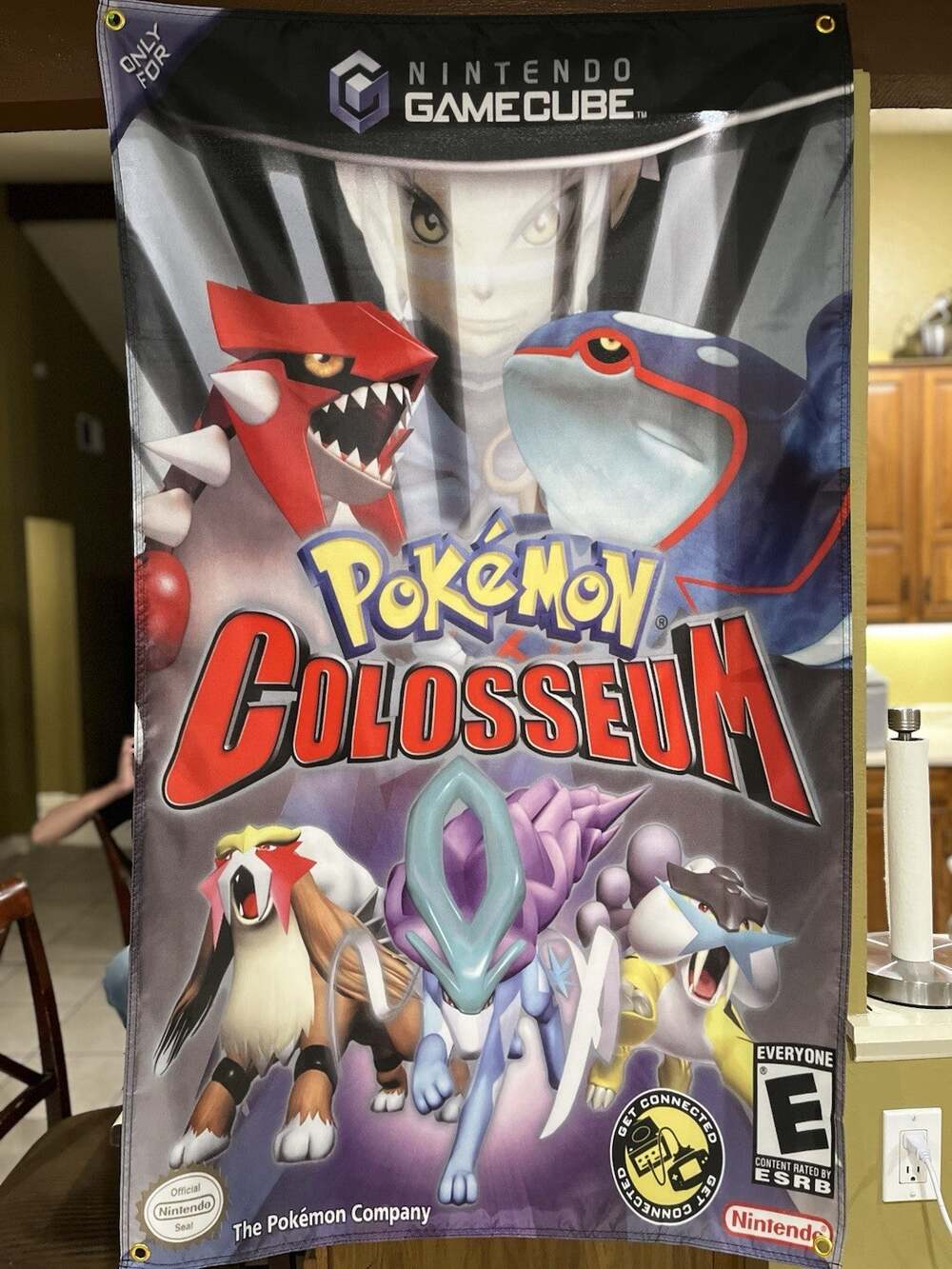 Pokémon Colosseum 5ft Flag Banner Nintendo GameCube 2004